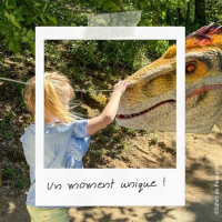 Les activités en famille